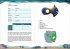 Das inoffizielle Handbuch zu Subnautica - Bild 6