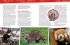 Absolute Expert: Pandas - Bild 2