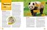 Absolute Expert: Pandas - Bild 4