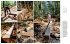 Hand Hewn - Bild 4
