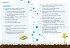 Vocabulary, Grammar and Punctuation... - Bild 5