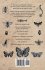 The Beetle and Butterfly Collection - A... - Bild 2