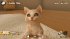 Little Friends: Dogs and Cats (Nintendo... - Bild 4