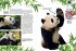 Entdecke die Pandas - Bild 2
