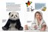 Entdecke die Pandas - Bild 4