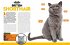 Cat Breed Guide - Bild 4