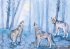 Der Wolf. Kamishibai Bildkartenset. - Bild 4