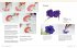 Botanical Art Techniques - Bild 3