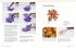 Botanical Art Techniques - Bild 4