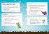 Vocabulary, Grammar and Punctuation... - Bild 5