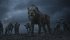 Der König der Löwen - Bild 6