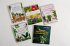 Positive Energie mit Zimmerpflanzen -... - Bild 5
