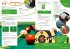 Letts GCSE 9-1 Revision Success - GCSE... - Bild 3