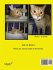 The Adventures of Charles The Cat With... - Bild 2