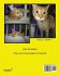 The Adventures of Charles The Cat With... - Bild 2