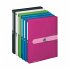 Herlitz Sammelbox A4 PP, Opak Beere - Bild 5