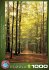 Eurographics 6000-3846 - Forest Path -... - Bild 4