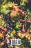 The Basis of Grape Standardization - Bild 2
