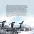 Advice from the Penguins - Bild 2