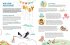 Geburtstag, Karneval & Lichterfest - So... - Bild 2