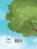The Climbing Tree - Bild 2