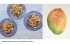 Asien vegetarisch - Bild 4