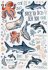 Brunnen Aufgabenheft A5 48 Blatt Ocean - Bild 3