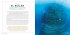 Big Blue - Bild 2