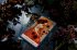 Mystische Momente (Oracle of Mystical... - Bild 5