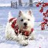 Wandkalender - Wunderbare... - Bild 2