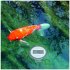 TFA 30.3067.10 Funk Pool Thermometer - Bild 7