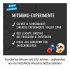 Piraten-Schatz Mitbring-Experimente - Bild 5