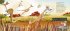 Wild Symphony - Bild 2