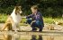 Lassie: Eine abenteuerliche Reise - Bild 6