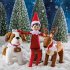 The Elf on the Shelf® - Box Set... - Bild 6