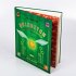 Quidditch im Wandel der Zeiten (farbig... - Bild 3