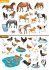 Tiere unserer Erde. Mein Stickerbuch.... - Bild 6