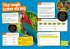 Awesome Maths and English Age 9-11 - Bild 6