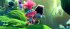 Trolls 2 - Trolls World Tour - Bild 2
