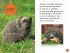 SUPERLESER! Hallo, Igel! - Bild 2