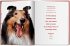 Walter Chandoha. Dogs. Photographs... - Bild 6