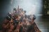Babylon Berlin - Staffel 3 - Bild 2