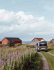 Drive Your Adventure Norway - Bild 3