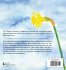 The Prettiest Daffodil - Bild 2