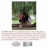 The Willow Tree - Bild 2