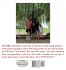 The Willow Tree - Bild 2