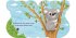 Meine Tierfreunde. Hallo, kleiner Koala! - Bild 4