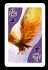 Pegasus SKE47005 - Oracle - Bild 6