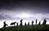 Der Herr der Ringe: Die Spielfilm... - Bild 2