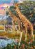 Ravensburger 12943 - Bunte Savanne,... - Bild 2